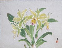 卡多麗亞藏品圖，第1張