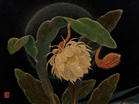 月下美人 藏品圖，第2張