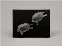 高蒔繪漆版六 藏品圖，第1張