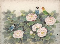 麗春 藏品圖，第1張