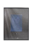 夏娃克隆肖像系列藏品圖，第1張