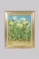 蓮蕉花藏品圖，第1張