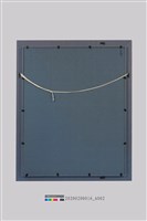 蓮蕉花藏品圖，第1張