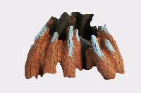 山迴2020-6b藏品圖，第1張