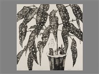 星葉海棠藏品圖，第1張