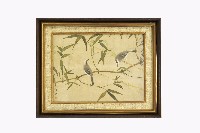 鳥藏品圖，第1張