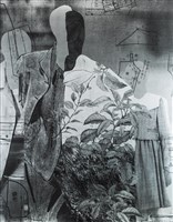 換裝 NO.3藏品圖，第1張