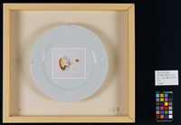 當代藝術煉金術三部曲－二部曲  藝術所得藏品圖，第37張