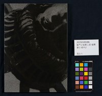 戰鬥之城第三部 福爾摩沙藏品圖，第26張