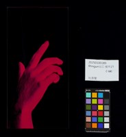 Rhngun出口藏品圖，第52張