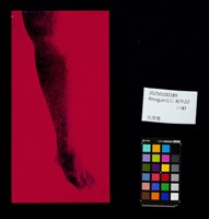 Rhngun出口藏品圖，第56張