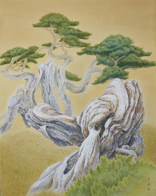 Jade Mountain Cypress - Twisted