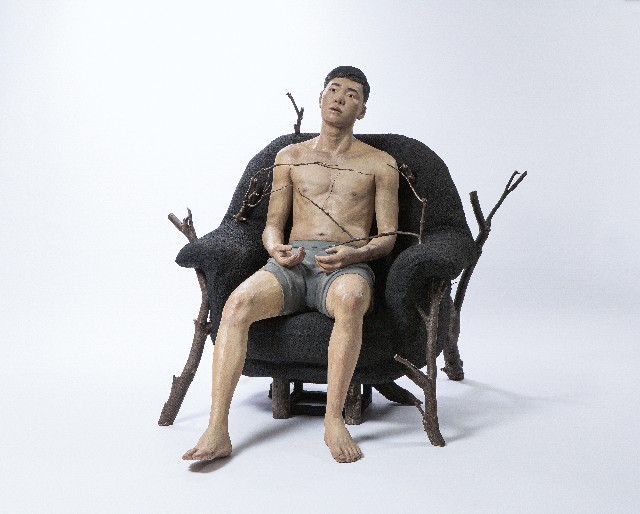 共棲附生的圖片