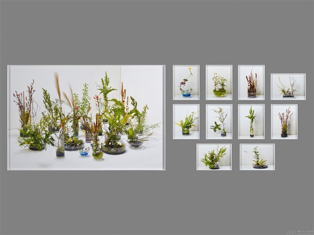 荒地計畫：為我插一盆花藏品圖，第1張