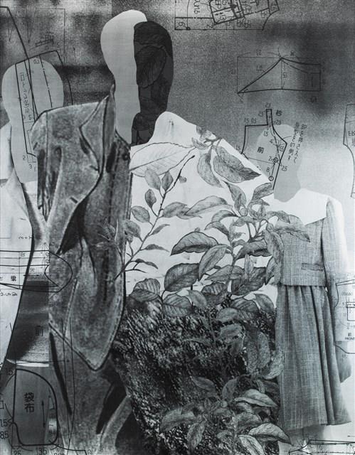 換裝 NO.3藏品圖，第1張