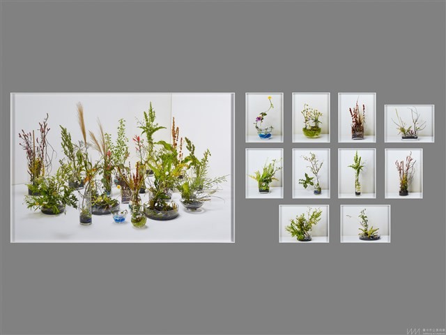 荒地計畫：為我插一盆花藏品圖，第1張
