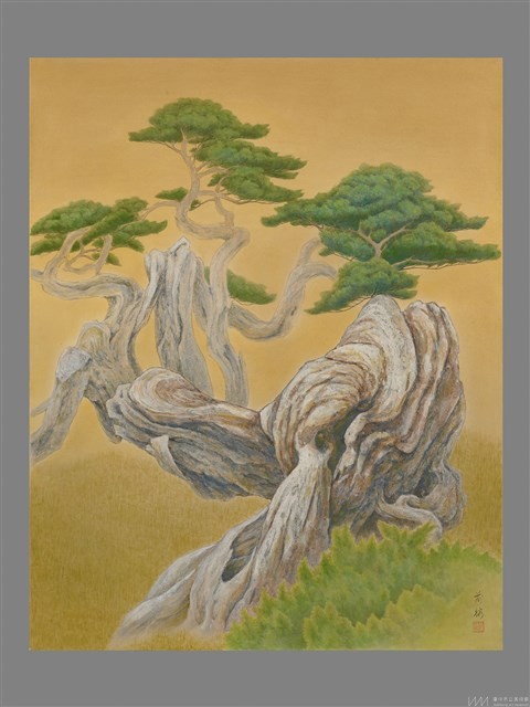 玉山圓柏-虬曲藏品圖，第1張