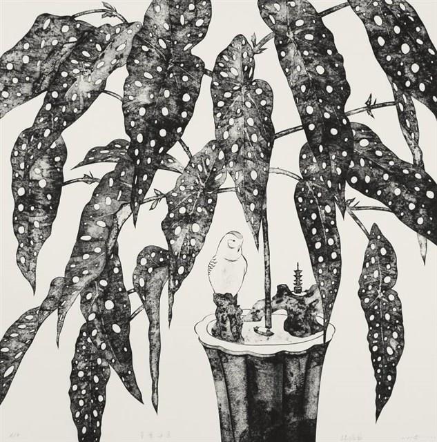 星葉海棠藏品圖，第1張