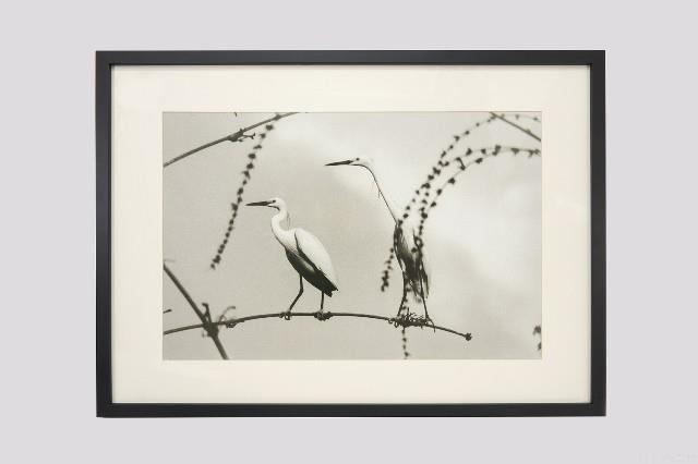 白鷺人家系列藏品圖，第2張