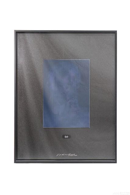 夏娃克隆肖像系列藏品圖，第1張