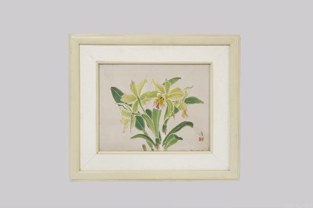 卡多麗亞藏品圖，第1張