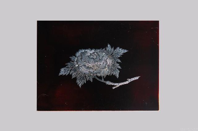 高蒔繪漆版三 藏品圖，第1張