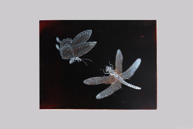 高蒔繪漆版七 藏品圖，第1張