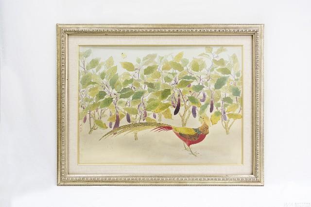 Eggplant Garden Collection Image