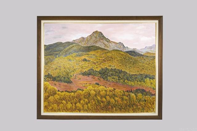 Summit Collection Image