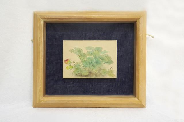 草莓 藏品圖，第1張