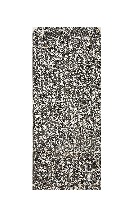 喜施香訫堂祀業碑記拓本藏品圖，第1張