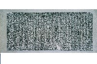 彰化孔子廟臥碑拓本藏品圖，第2張