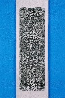 重修諸羅縣笨港天后宮碑記拓本藏品圖，第1張