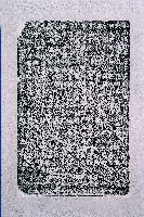 募建湖山巖祀業碑記拓本藏品圖，第1張