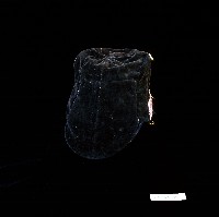 兒童冬日風兜帽藏品圖，第2張