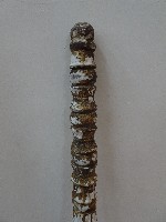 韋陀棒藏品圖，第5張