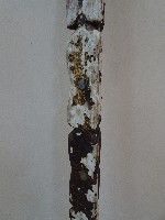 韋陀棒藏品圖，第7張