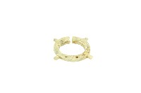 帶四突起玦形耳飾藏品圖，第1張