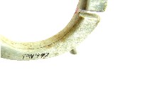 帶四突起玦形耳飾藏品圖，第2張