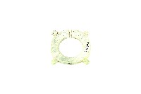 帶四突起玦形耳飾藏品圖，第1張