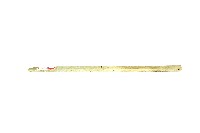兩端帶穿玉棒藏品圖，第1張