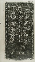 洲南場鯝習陋規示禁碑記拓本藏品圖，第1張