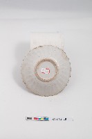 釉上五彩折枝花卉紋葵花口盤藏品圖，第2張