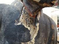 木雕人像藏品圖，第16張