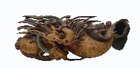 鰲魚托木藏品圖，第1張