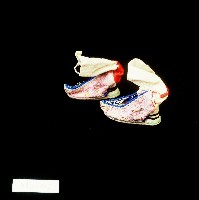 粉紫色提花絲綢弓鞋藏品圖，第1張