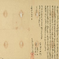 咸豐五年北斗街許通順號向邱元集等購買十張犁庄水田所立憑據藏品圖，第1張