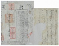 乾隆四十九年林陳氏等三人立杜賣田契字（含契尾）藏品圖，第1張