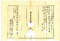 大正二年林查某向臺南地方法院鳳山登記所申請之土地登記簿抄本藏品圖，第4張