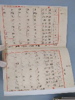 苗栗苑裡鎮部分人口年齡統計簿藏品圖，第2張